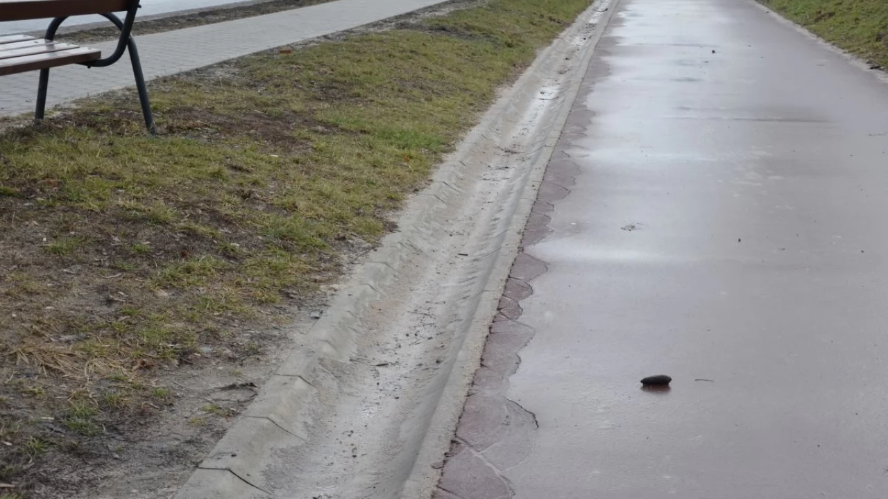 Popękana ścieżka rowerowa