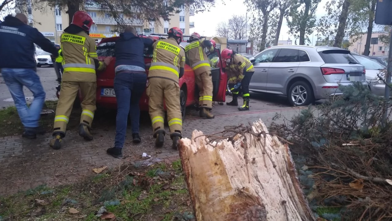 Potrącenia, pożary, wypadki - tym zajmowali się tczewscy strażacy