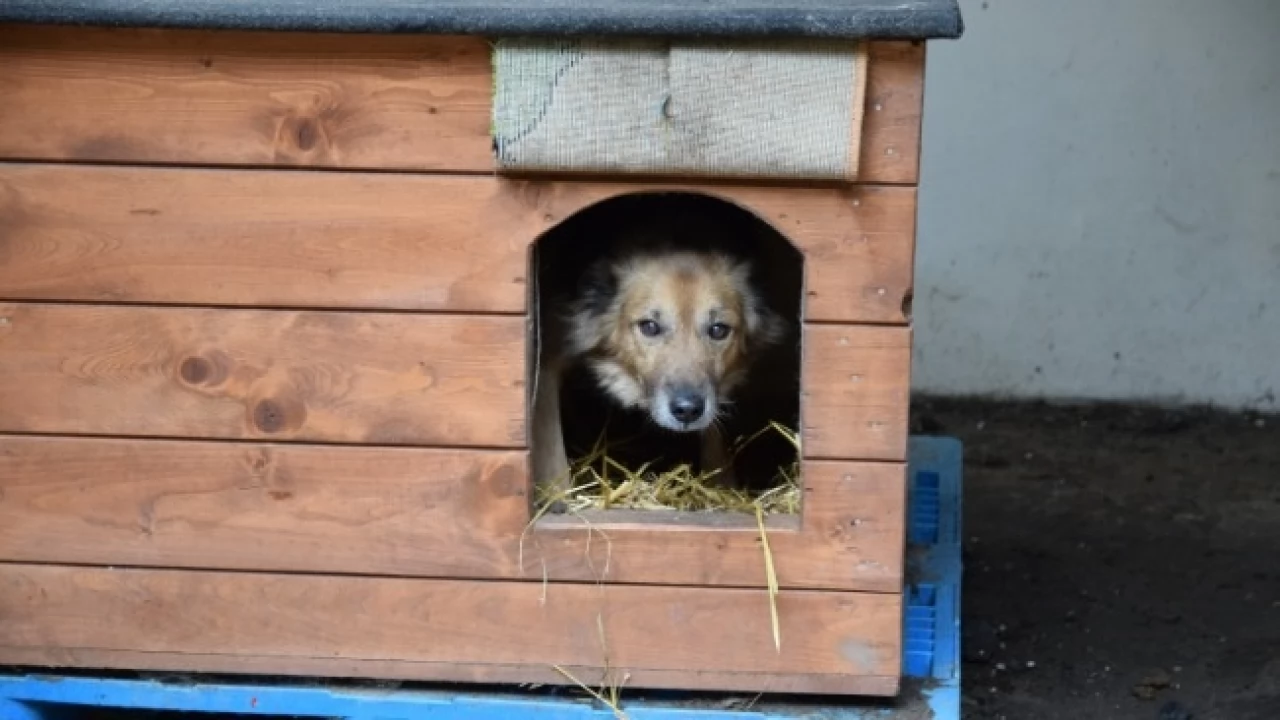 Potrzebne środki na ocieplane budy. Ruszyła zbiórka