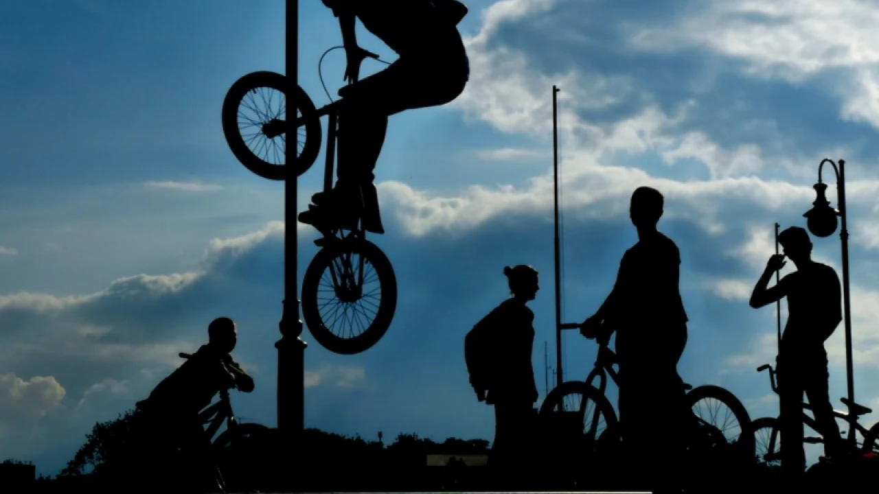 Potrzebny Skate Park