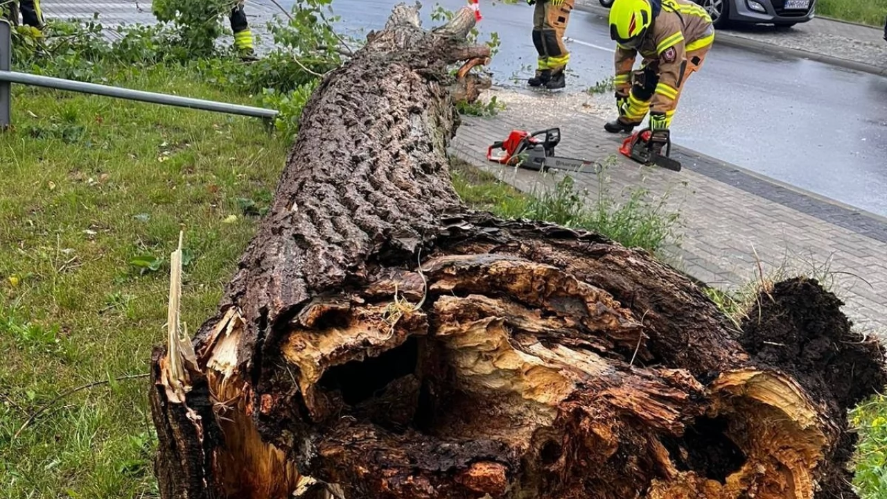 Pożar, uszkodzony dach i wiatrołomy