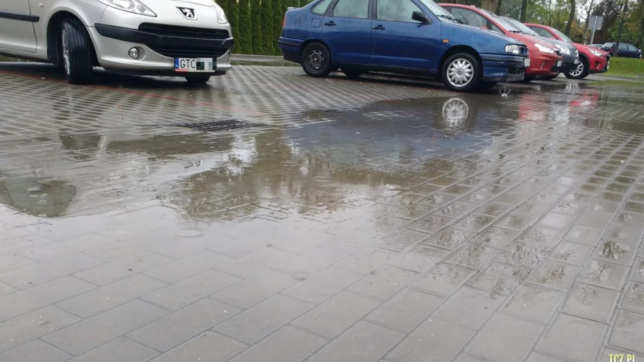 "Pozdrawiam" pana z czarnego golfa