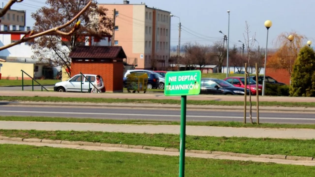 Prezesie wstydu oszczędź...