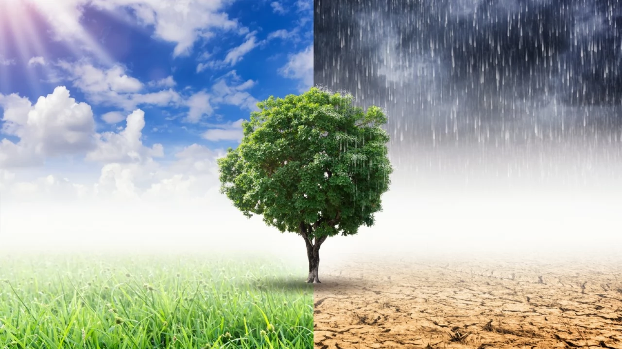 Przyjmą plan adaptacji do zmian klimatu