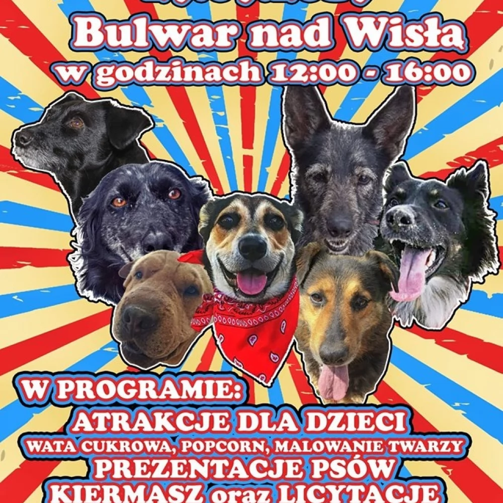 "PSIKNIK" na Bulwarze Nadwiślańskim