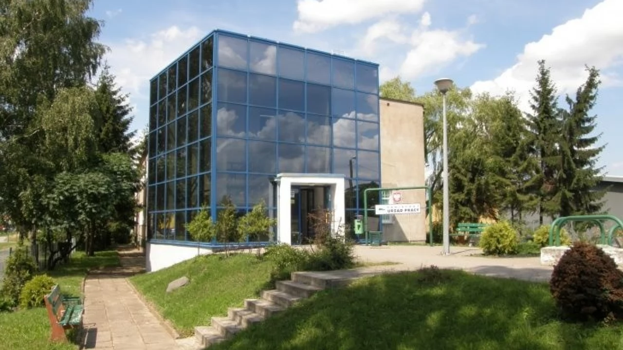 PUP zaprasza pracodawców poszukujących stażystów