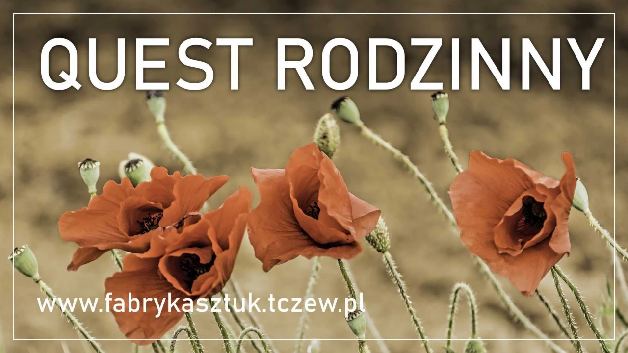 Quest rodzinny na Światowy Dzień Kociewia