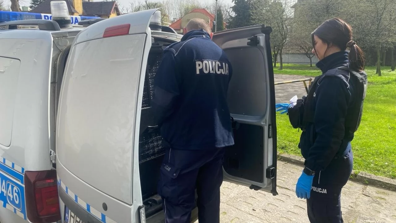 Recydywista odpowie za kradzież rozbójniczą i rozbój