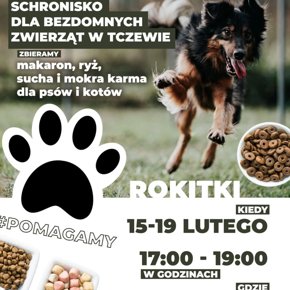 Rokitki zbierają karmę dla zwierzaków ze schroniska