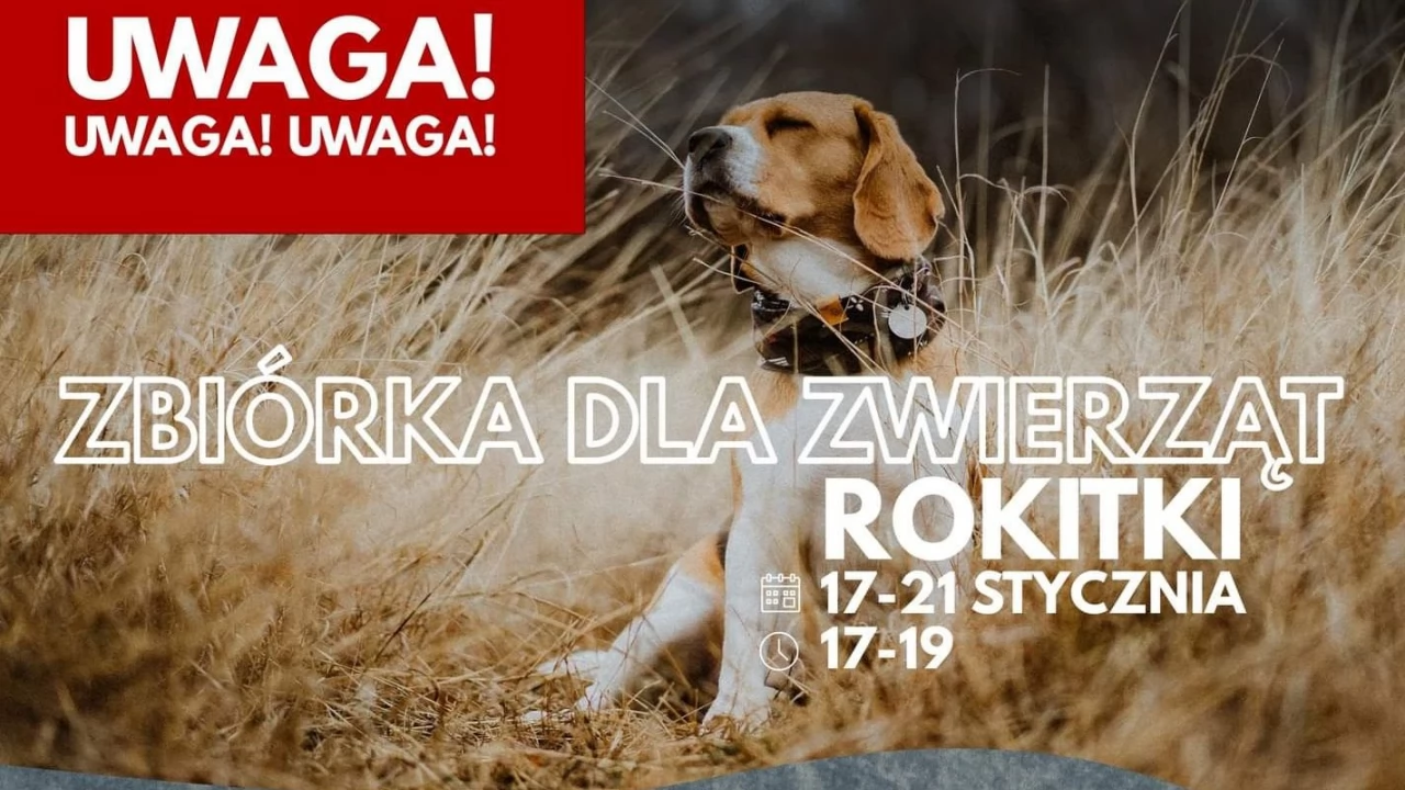 Rokitki zbiorą karmę dla schroniska