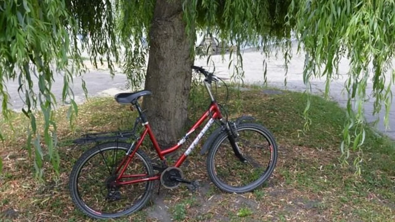 Rower czeka na właściciela