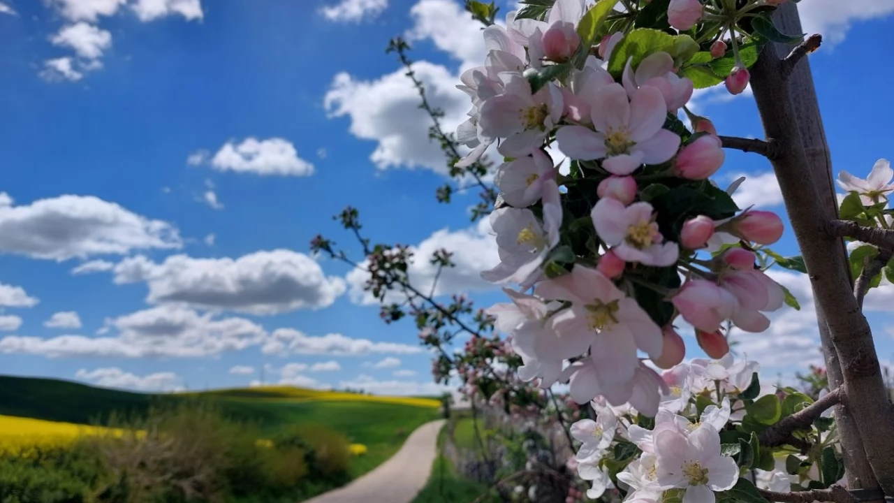 Rusza konkurs Piękna Wieś Pomorska 2026. Do wygrania jest nawet 30 tysięcy złotych