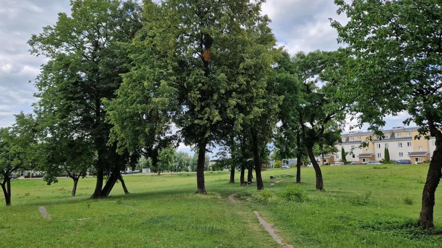 Rusza rewitalizacja parku na Piotrowie