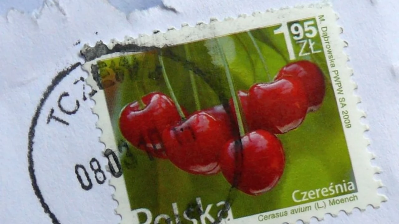 Ruszyła dystrybucja decyzji podatkowych
