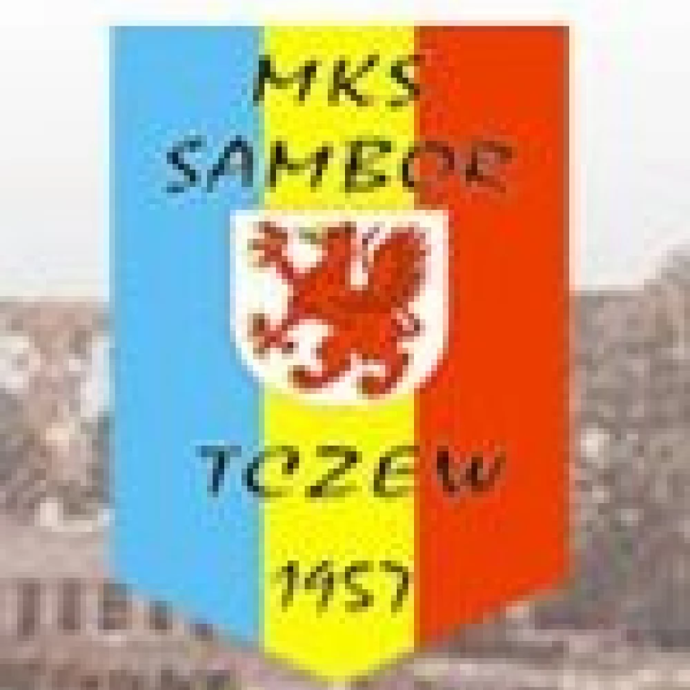 Sambor na Mistrzostwach Okręgu Młodzików