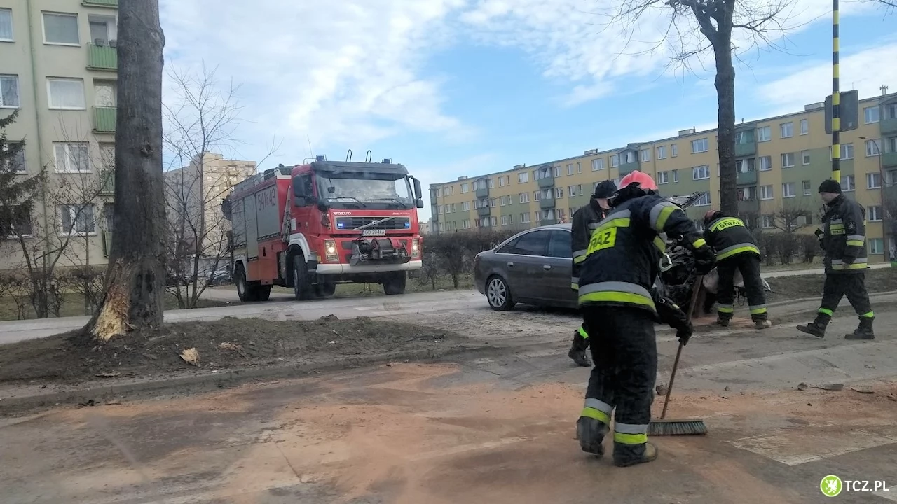 Samochód osobowy uderzył w drzewo