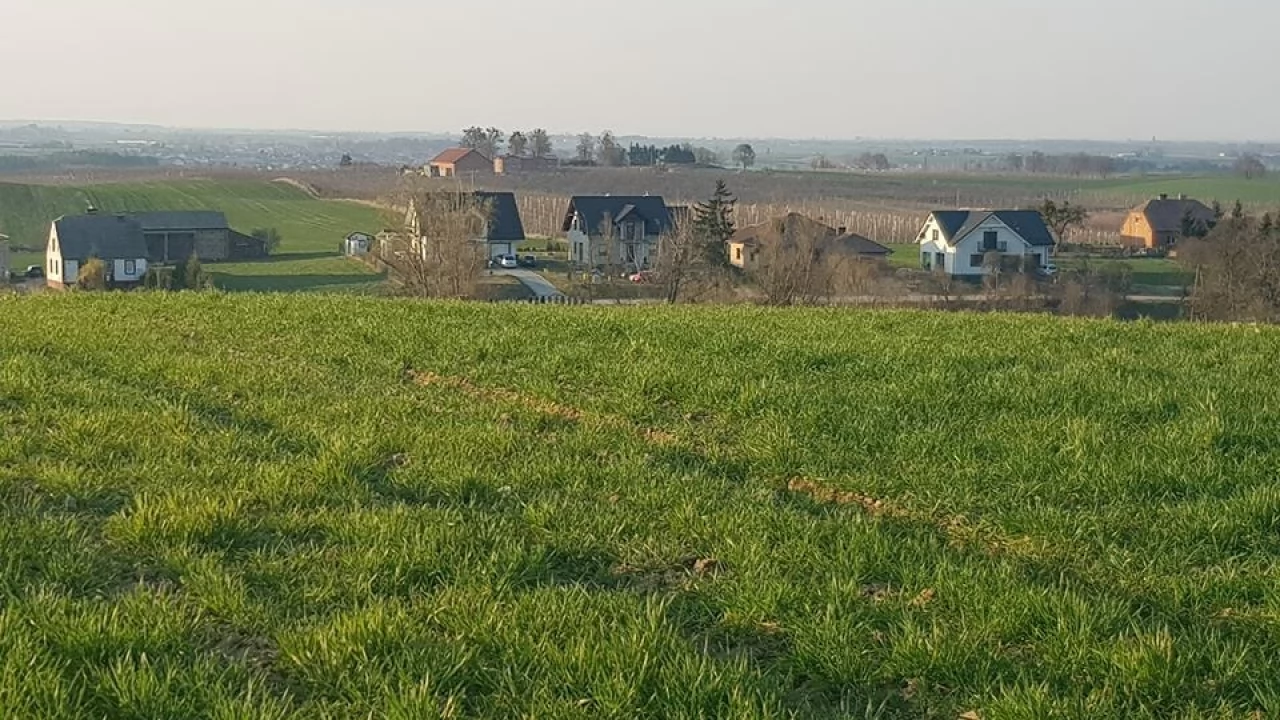Śliwiny świętują 730-lecie!