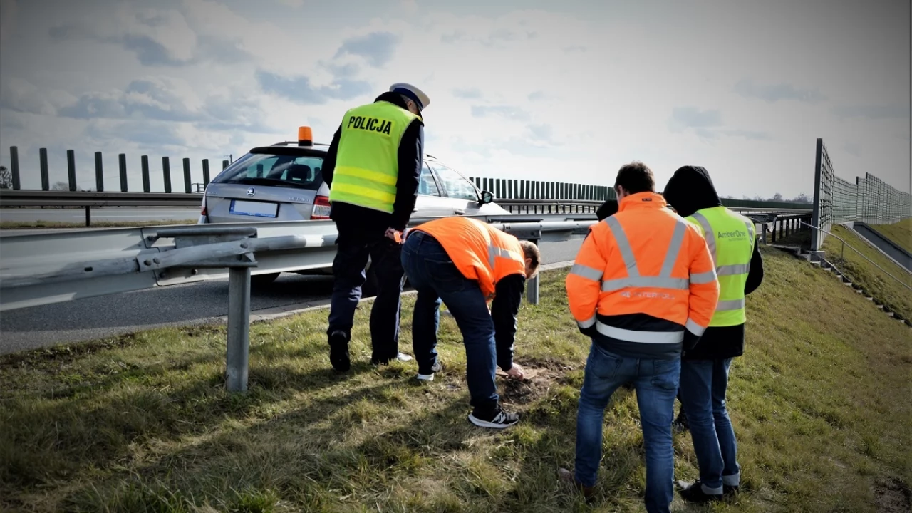 Służby pracowały w miejscu śmiertelnego wypadku