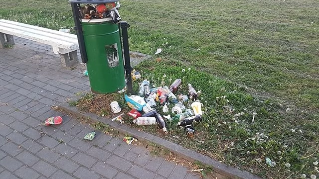 Śmieciarstwo przy stawku na osiedlu Bajkowym