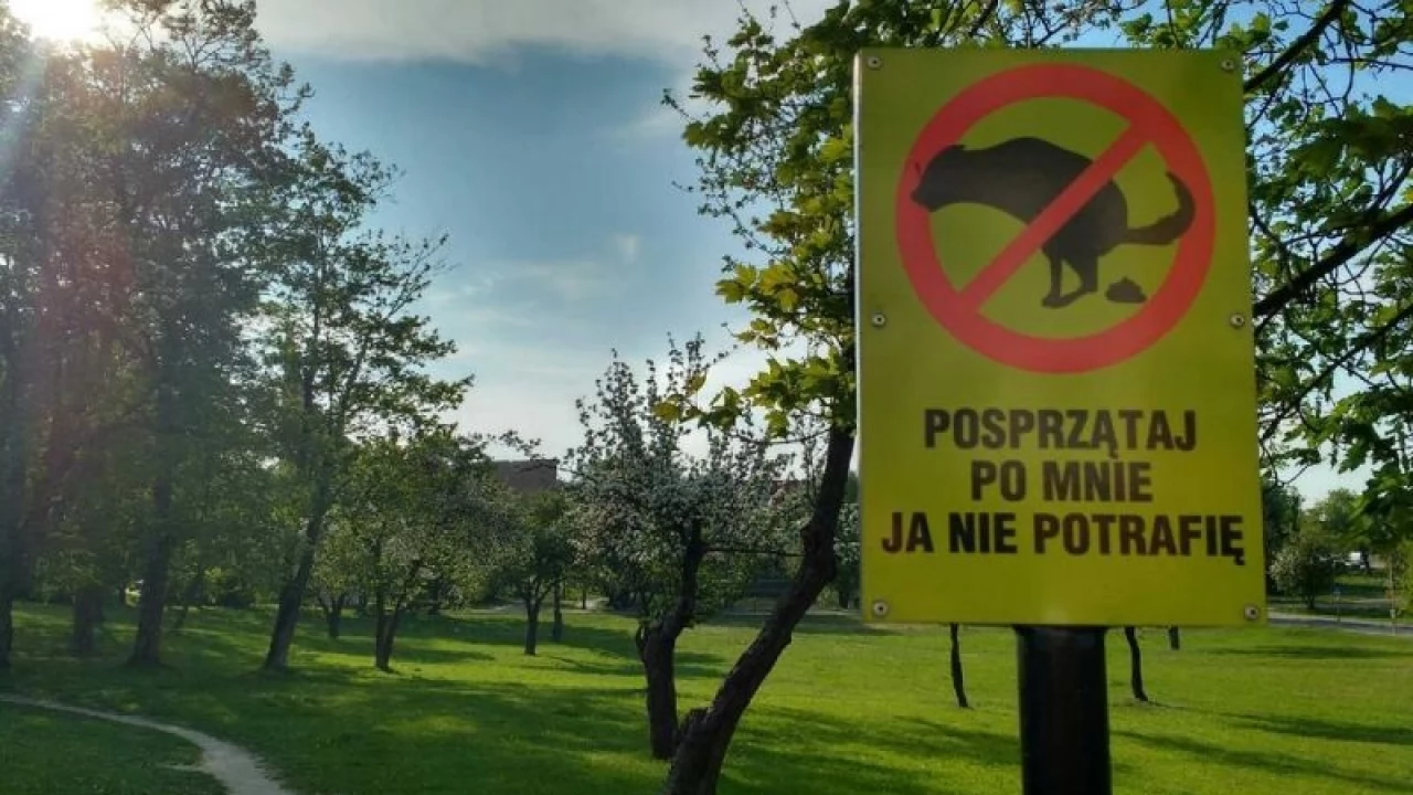 Śmierdzący problem wciąż jest
