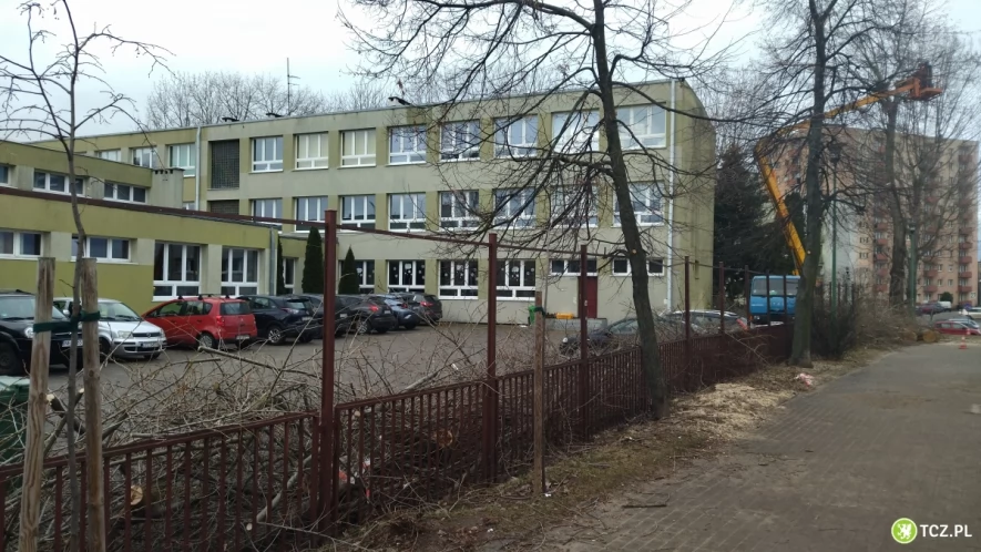 Smród, brud i WYCINKA