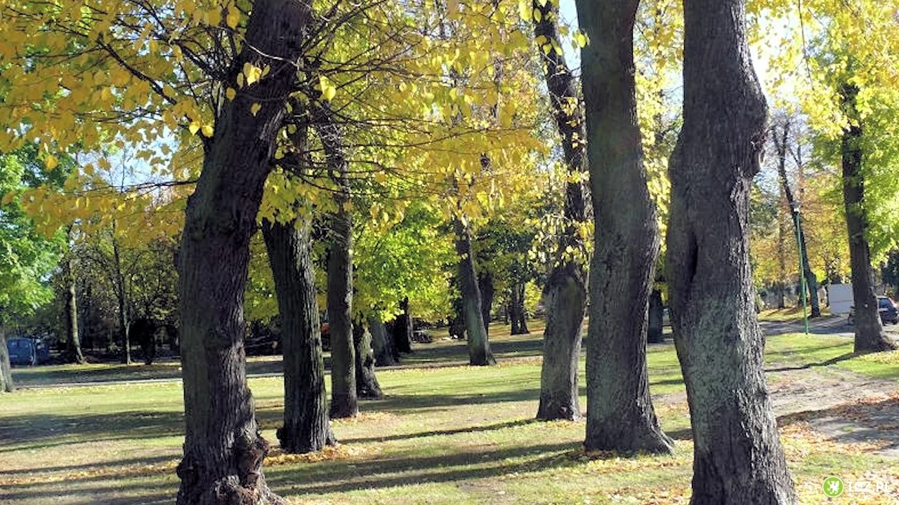 Spacer śladami nieistniejących cmentarzy