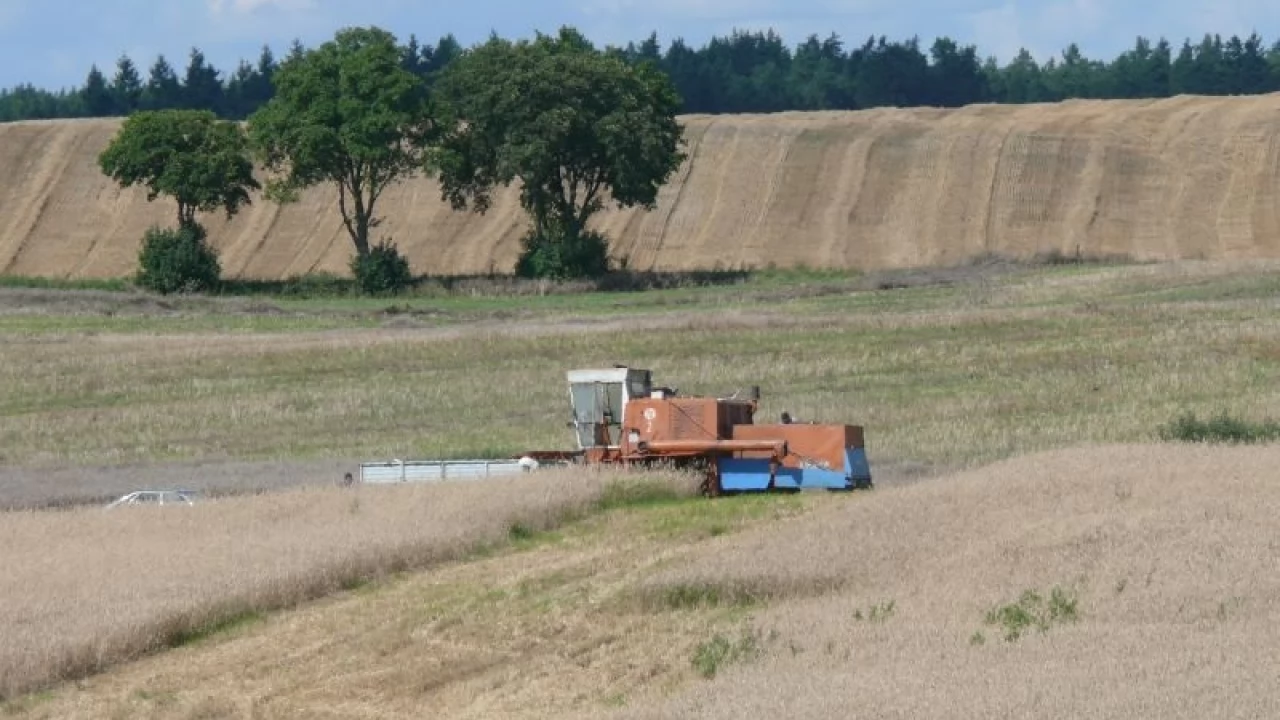 Spłonęło 10 hektarów zboża