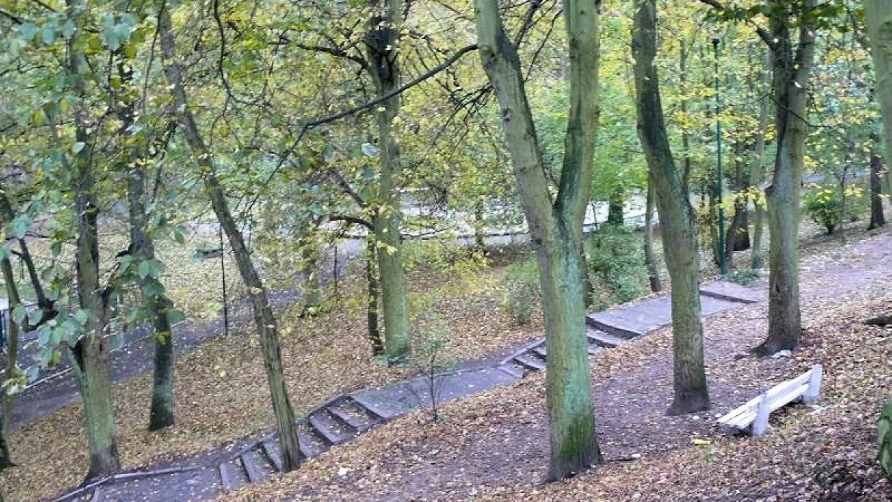 Społecznicy inwentaryzowali Park Miejski