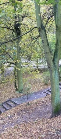 Park Miejski powstał w XIX wieku