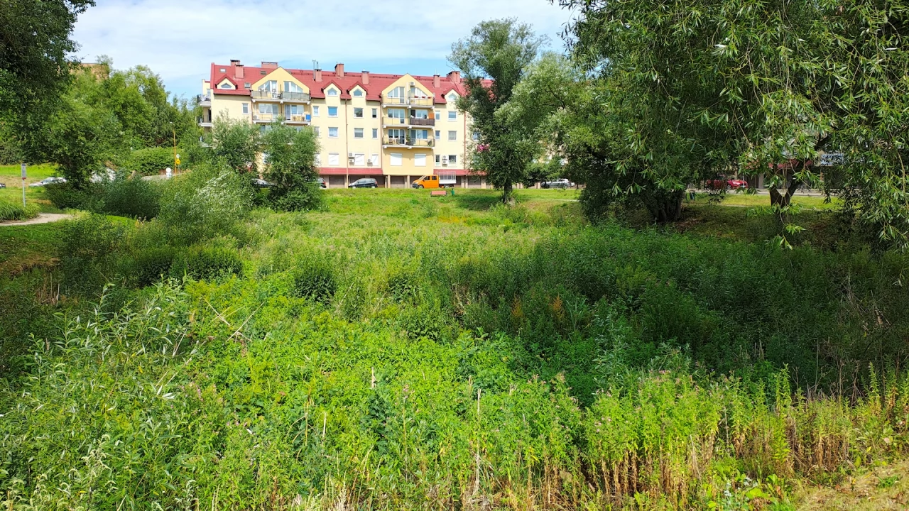 Stawek ma znowu być stawkiem