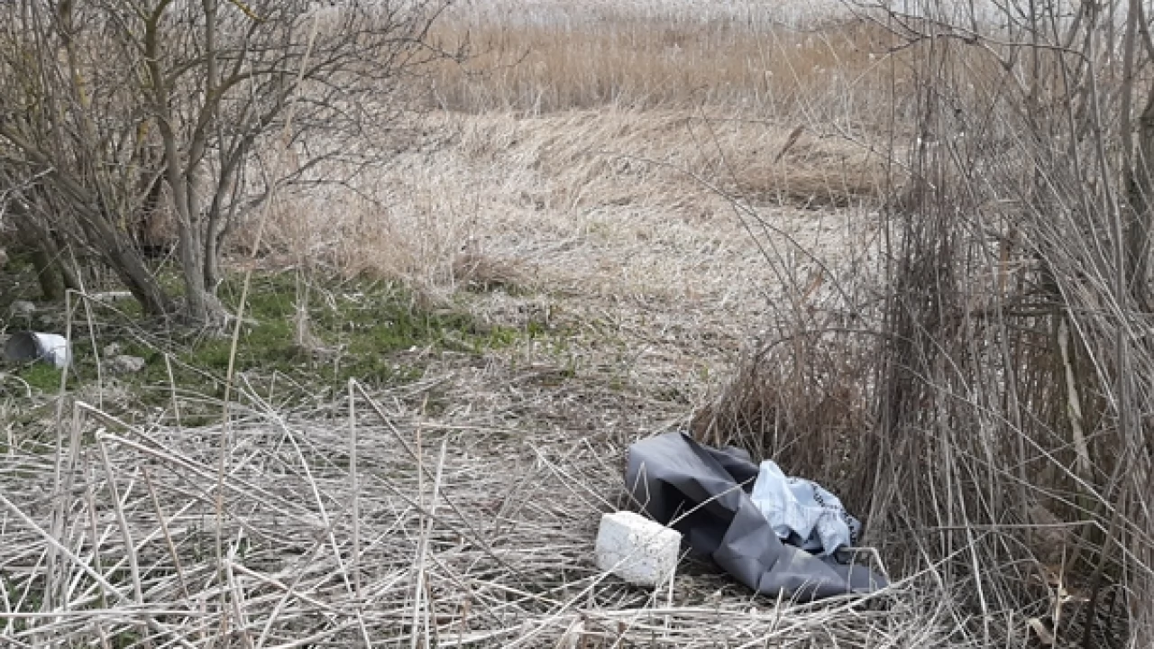 Stawy w Rokitkach toną w śmieciach