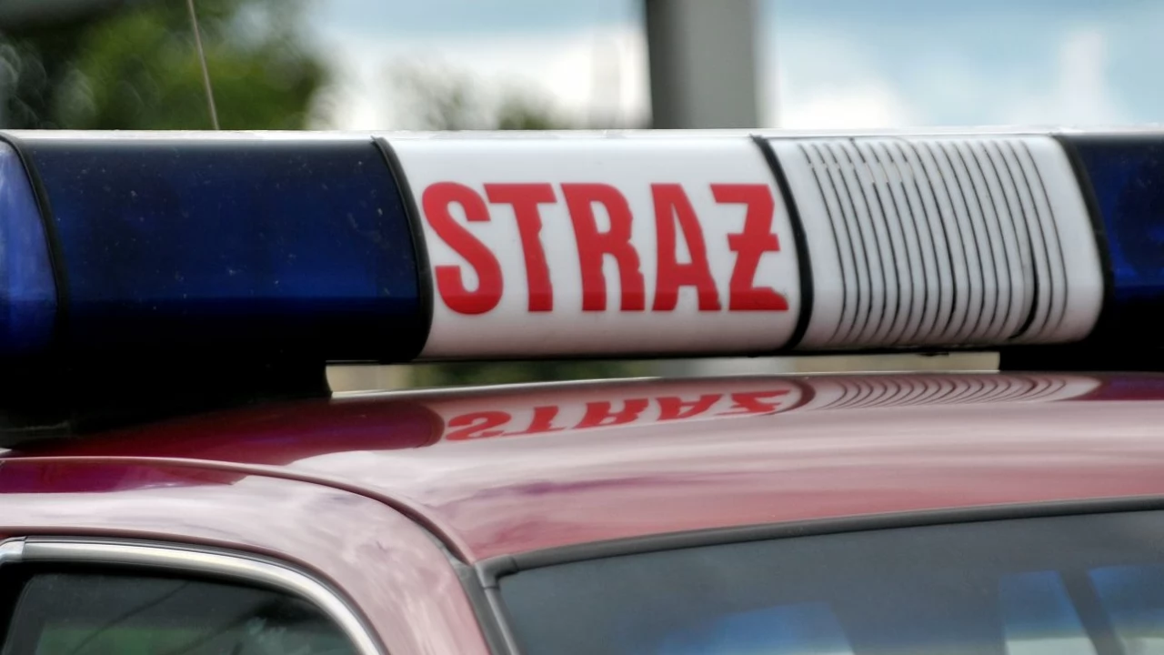 Strażacy usuwali plamę oleju