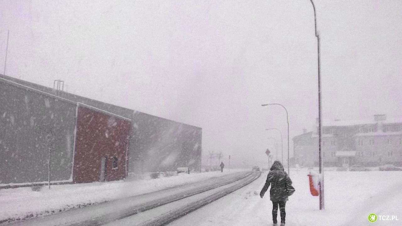 Synoptycy odwołują wiosnę. W nocy ma spaść nawet 10 cm śniegu