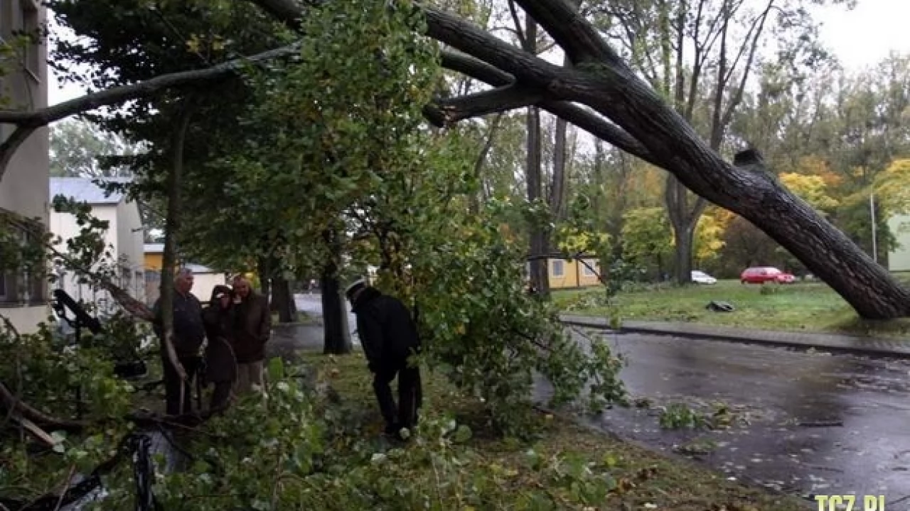 Synoptycy ostrzegają przed silnym wiatrem