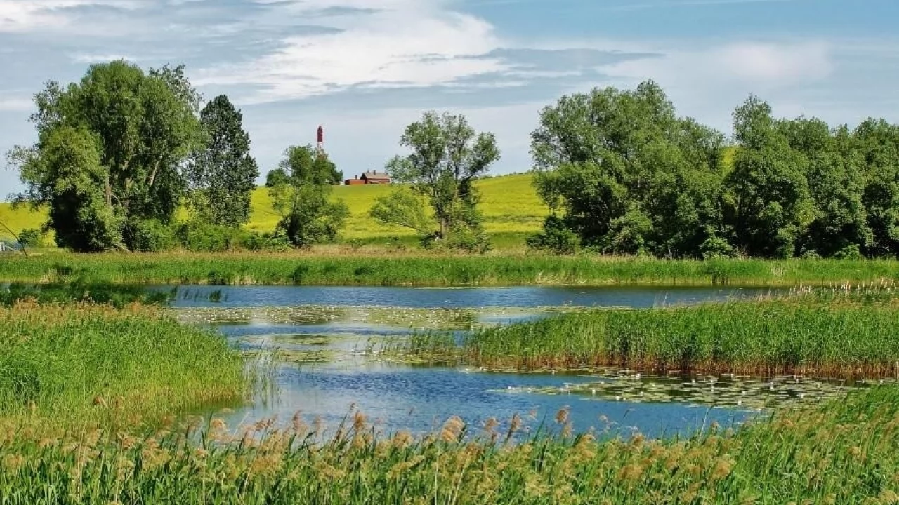 Szukają najpiękniejszej pomorskiej wsi