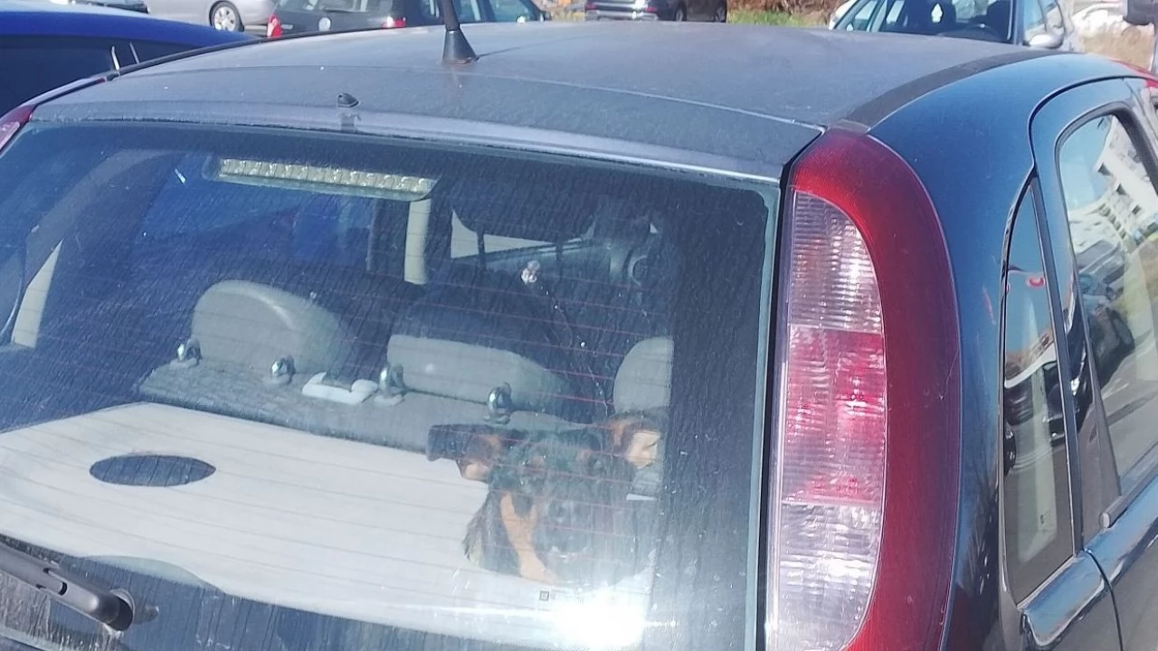 Taki widok na parkingu