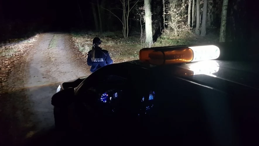 Trwa akcja "Choinka". Mundurowi patrolują lasy