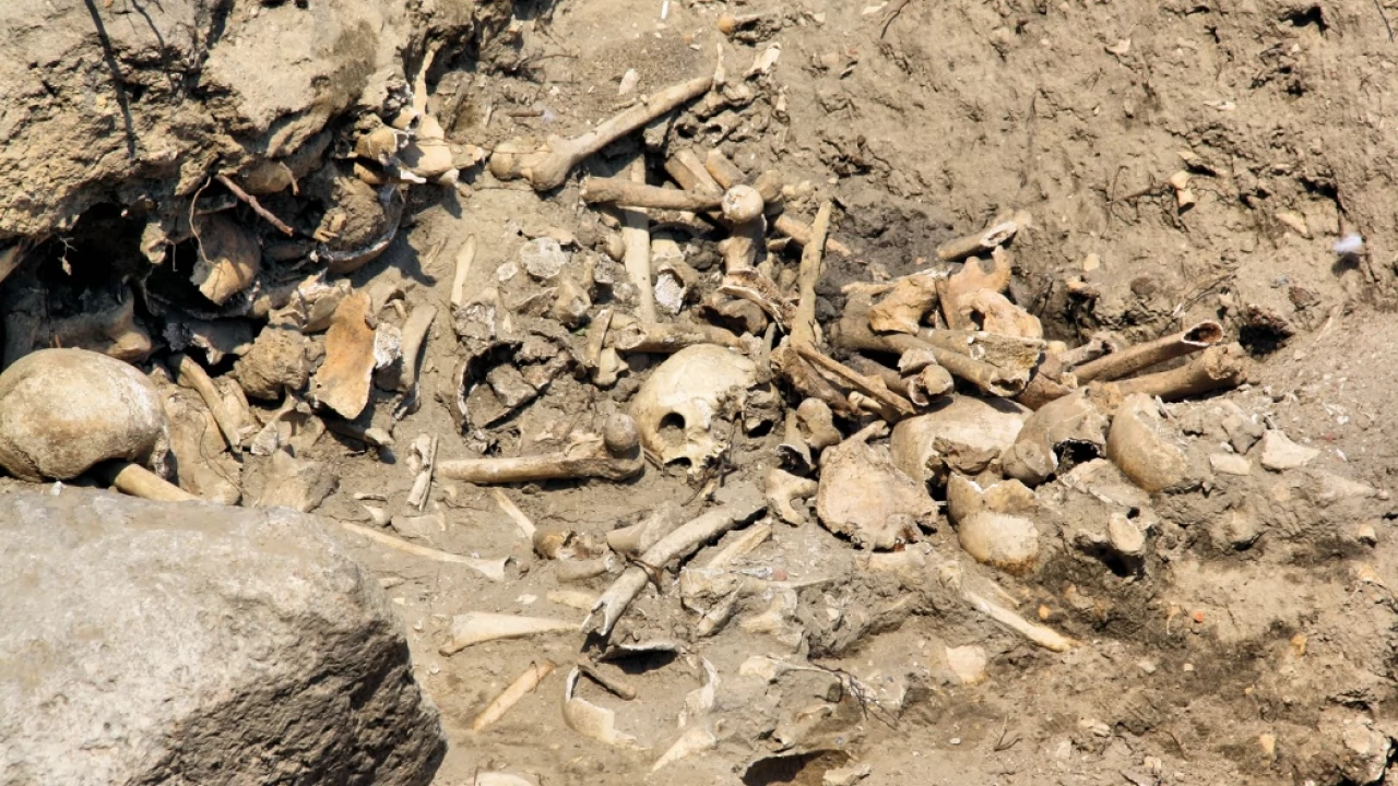 Trzeci  sezon prac archeologicznych zakończony