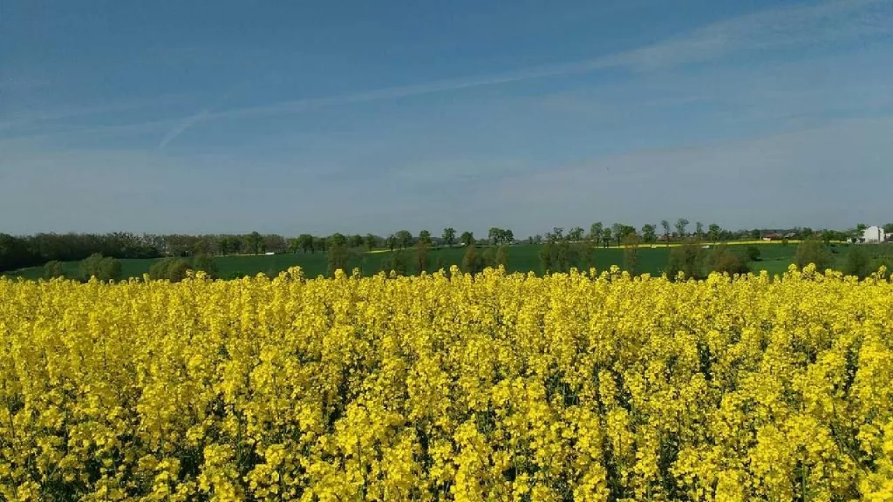 Uwaga! Kradną środki ochrony roślin