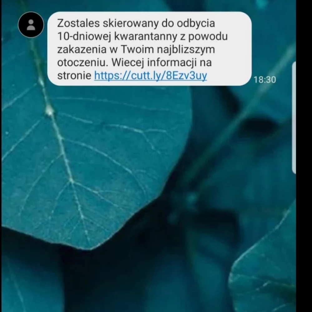 Uwaga na oszustów! Podszywają się pod Sanepid i wyłudzają dane