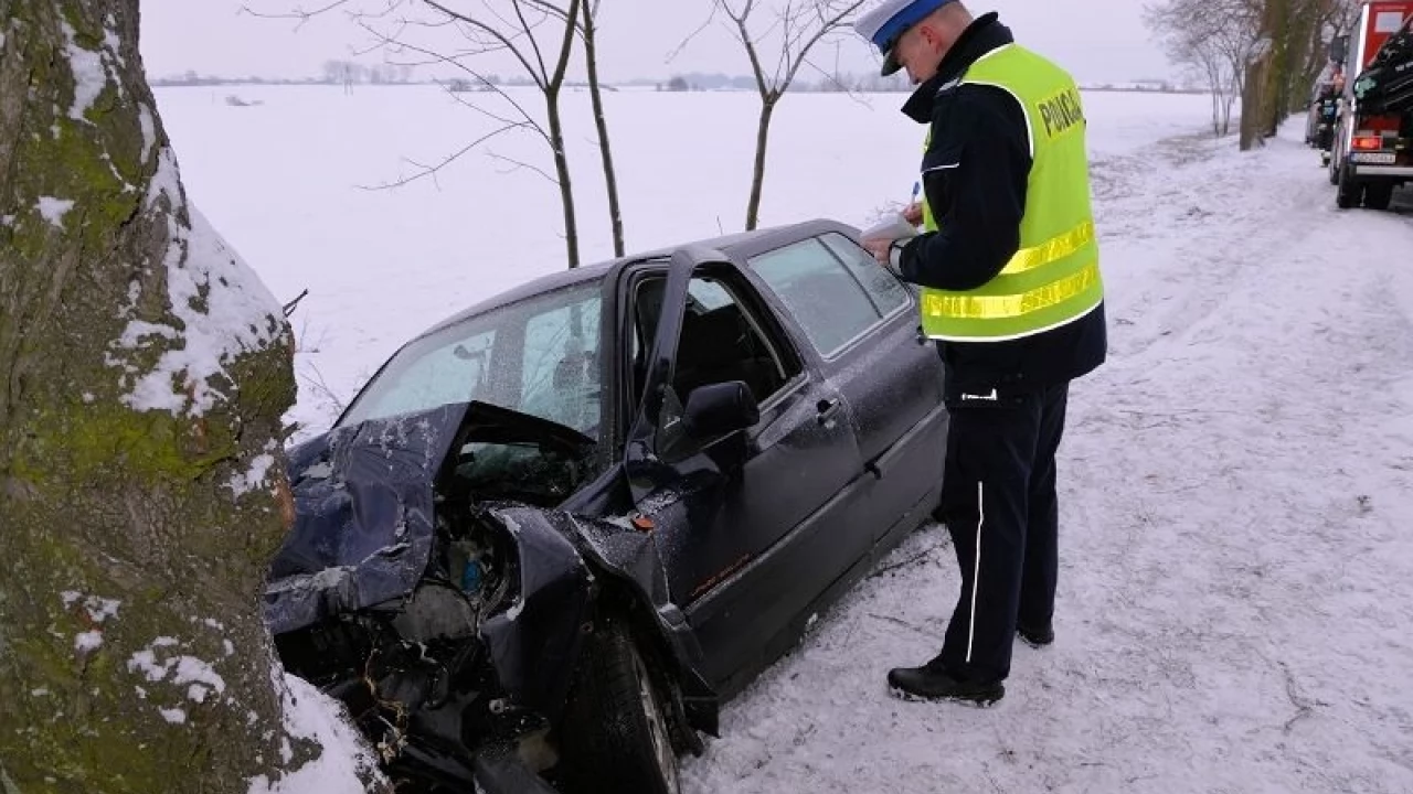 Volkswagen uderzył w drzewo