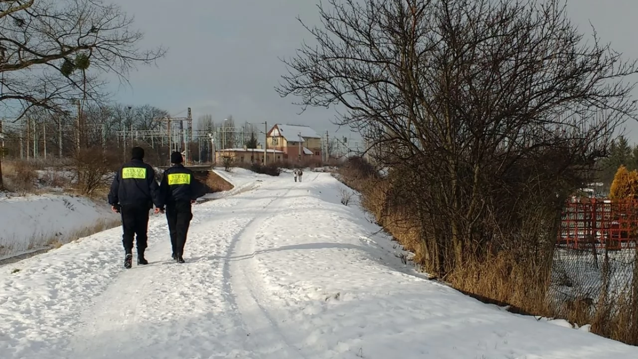 W całej Polsce policzą bezdomnych