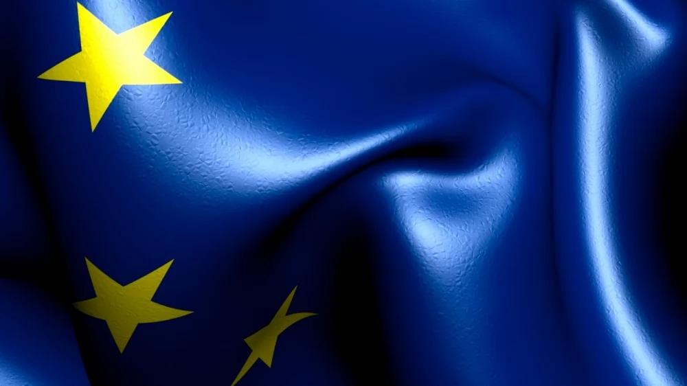 W niedzielę wybory do europarlamentu