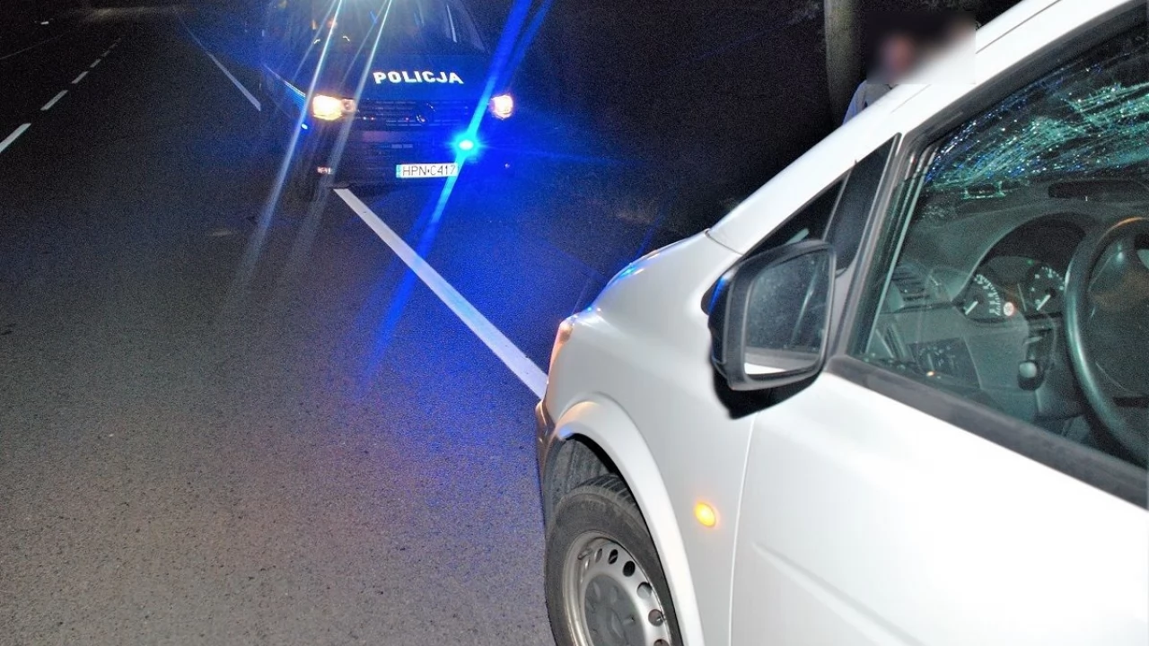 Waćmierek. Zderzenie mercedesa z łosiem