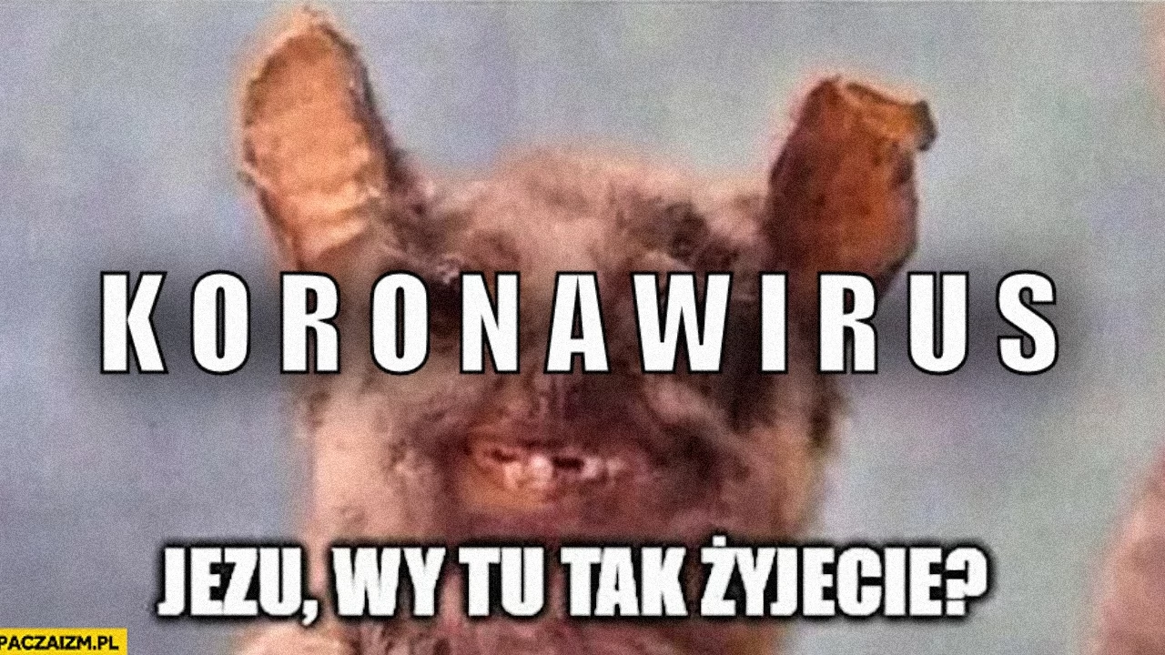 Walka, a może parodia walki z koronawirusem w tczewskich szkołach