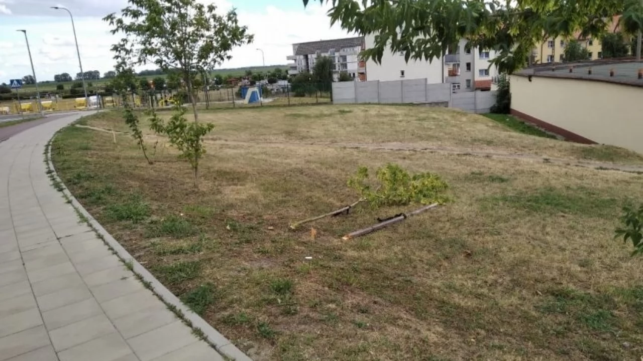 Wandalizm, idiotyzm, debilizm...
