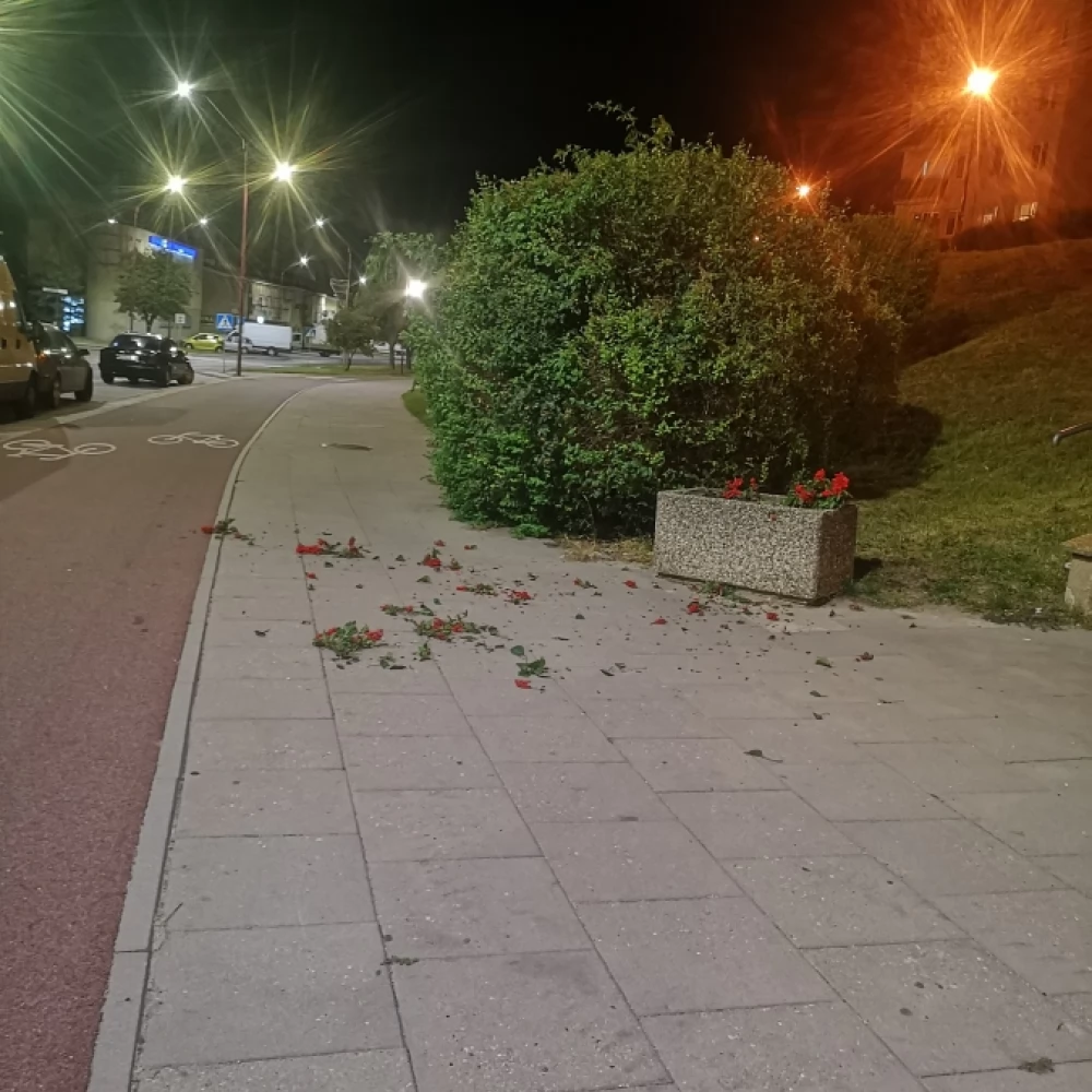 Wandalizm na najwyższym poziomie!