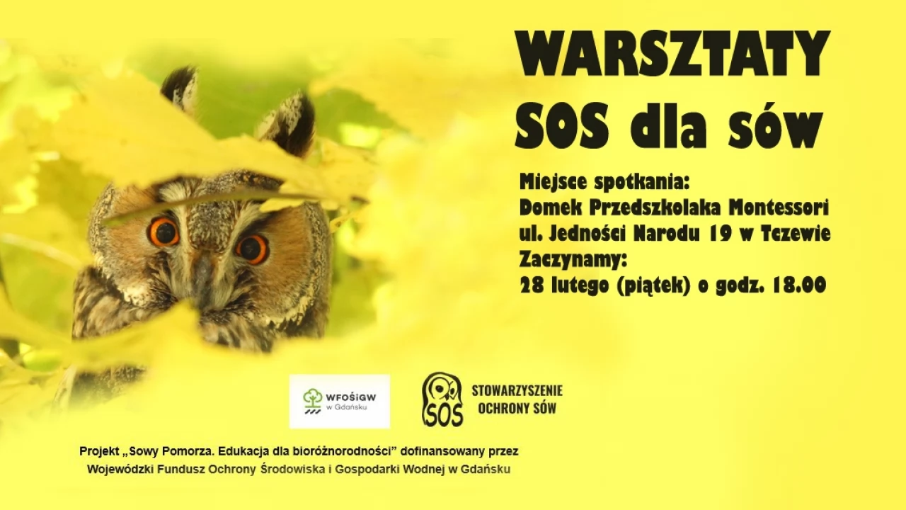 Warsztaty SOS dla sów