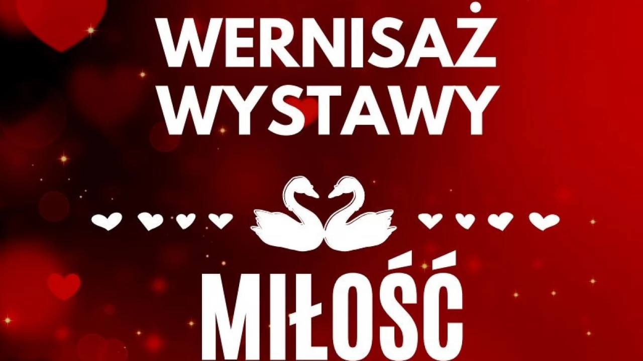 Wernisaż wystawy w You