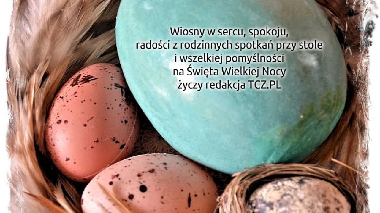 Wesołego Alleluja!